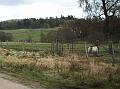Perth-Aviemore, overzicht dag3, (168)
